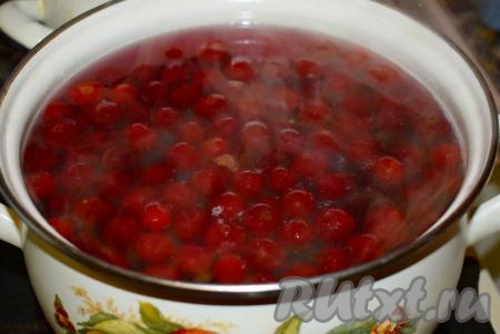 Далее варим наш компот из замороженной вишни на умеренном огне до тех пор, пока ягоды не опустятся на дно (примерно, 5 минут). Если нужно, добавьте сахар по вкусу.