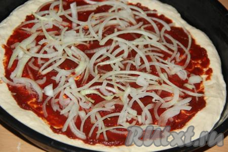 Лук очистить, нарезать тонкими полукольцами и выложить поверх соуса.