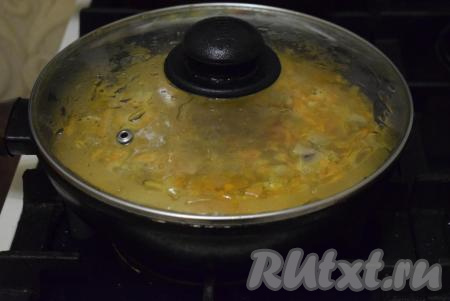 Затем накрываем сковороду крышкой и томим наше блюдо, примерно, 45-50 минут на медленном огне, не открывая крышку.