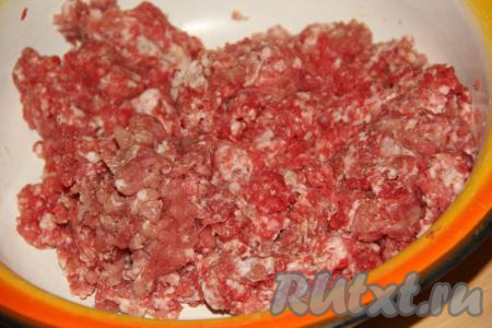 Лук очистить, пропустить через мясорубку (или мелко нарезать), добавить в фарш, посолить, поперчить и хорошо вымесить.