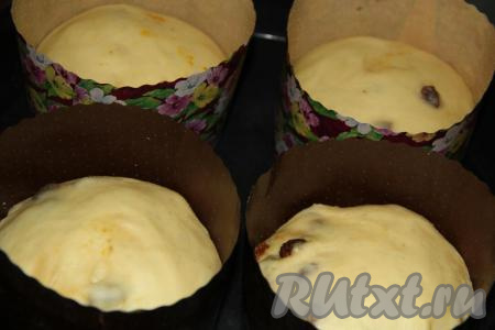 Тесто в формах увеличится в объёме.