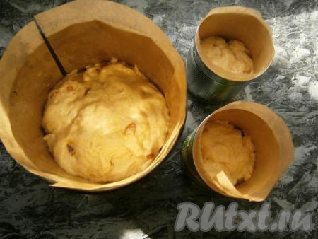 Готовое тесто обмять той же ложкой и разложить ложкой по формочкам, застеленным полностью (и дно, и бока)&nbsp; пергаментом, который немного смазать растительным маслом (бумажные формочки можно не застилать пергаментом). Боковой пергамент на всякий случай я выложила выше, чем сами формочки.&nbsp;Раскладывать тесто нужно на 1/3&nbsp;объема. Дать тесту подойти, оставив на расстойку на 25-35 минут.