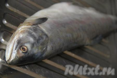 Горбушу вымыть под проточной водой, если рыба не потрошёная, тогда удалить внутренности и хорошо промыть, удалив черную пленку внутри брюшка. Обсушить рыбку бумажным полотенцем.