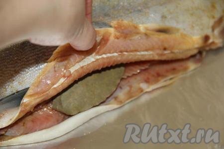 Натереть тушку рыбы солью снаружи и внутри. В брюшко вложить лавровый лист.