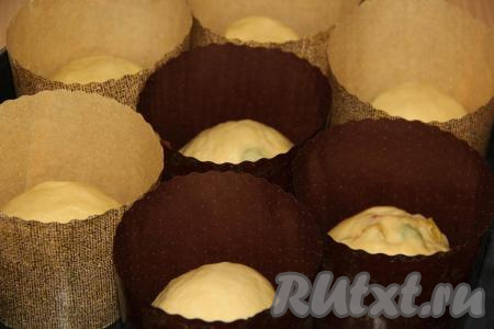 Разделить тесто на части, выложить в формы (я выпекала в бумажных формах), заполняя их на 1/3 объёма. Формы с тестом, накрыв полотенцем, оставить часа на 2. Тесто немного увеличится. Выпекать куличи в разогретой духовке в течение минут 45 при температуре 190 градусов. Продолжительность выпекания зависит от размера куличей. Готовность выпечки можно проверить сухой деревянной шпажкой (при прокалывании готового кулича шпажка по-прежнему останется сухой).