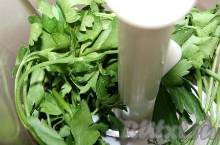 Для соуса положить в блендер петрушку, оливковое масло, соль и перец. Все пропустить  через блендер и соус готов.