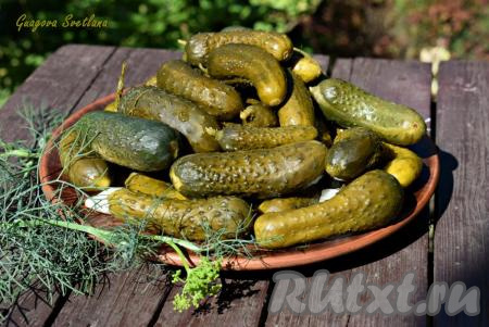 Малосольные корнишоны 