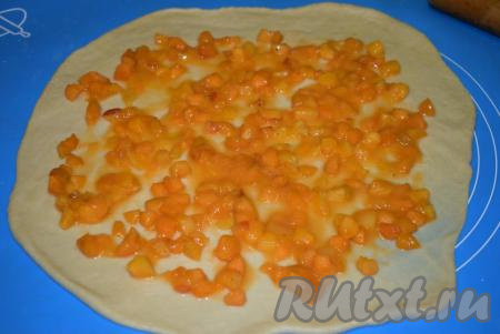 На пласт теста выкладываем половину фруктовой начинки&nbsp;и равномерно распределяем по тесту, оставляя края чистыми.