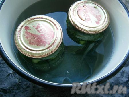 В большую кастрюлю налить холодную воду, на дно выложить мягкую тряпочку и поместить банки с огурцами. Воды в кастрюле должно быть столько, чтобы она доходила до плечиков банок. Баночки с огурцами прикрыть предварительно прокипячёнными крышками. Поставить кастрюлю с банками на средний огонь. Когда вода закипит, огонь сделать минимальным и стерилизовать огурцы минут 5-7 с момента закипания воды.