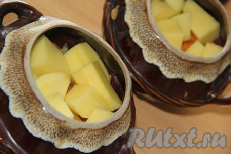 Картофель очистить, крупно нарезать и разложить по горшочкам.