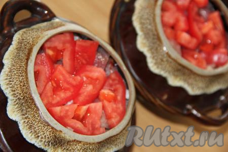 Помидоры вымыть, нарезать на дольки, разложить поверх мяса.