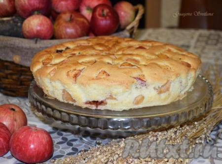 Шарлотка с яблоками и сливами