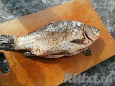 Карася очистить от чешуи и внутренностей, удалить жабры, хорошенько вымыть. Лук очистить.