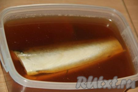 По прошествии 2 часов чайный рассол процедить. Выложить скумбрию в лоток и залить слегка тёплым рассолом. Чайный рассол должен полностью покрыть скумбрию. Накрыть лоток крышкой и убрать в холодильник на сутки.