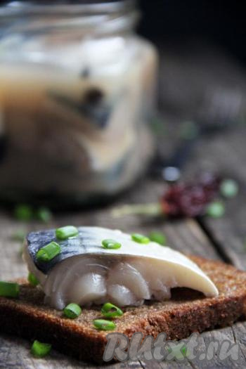 Готовую скумбрию подать к столу, очень вкусно с жареной или отварной картошкой. Попробуйте этот нехитрый способ засолки, рыбка получается малосольной, просто тающей во рту. К тому же такую скумбрию легко хранить в холодильнике прямо в банке с рассолом, да и удобно брать, ведь она уже нарезана на кусочки. 