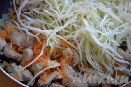 Добавить капусту в сковороду к куриному мясу, моркови и луку, посолить, приправить по вкусу, перемешать.