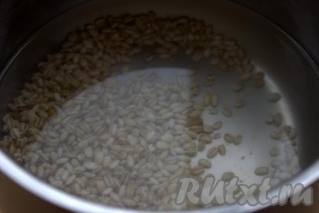 Переложить перловку&nbsp;в кастрюлю, залить крупу 2,5 литрами холодной воды, поставить на максимальный огонь. После закипания воды огонь уменьшить и варить перловку минут 15-20.