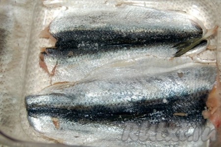 Выложить филе салаки в миску, пересыпая солью. Дать постоять несколько часов при комнатной температуре.