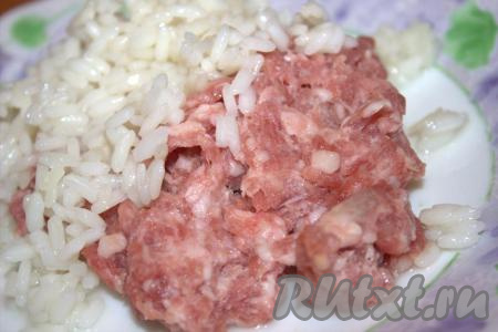 Промыть рис несколько раз под проточной водой, сливая воду. Затем в кастрюлю с промытым рисом влить 200 мл холодной воды, поставить на огонь, довести воду до кипения, затем уменьшить огонь до минимума и варить рис, слегка посолив, на медленном огне 10-15 минут, прикрыв крышкой (до полного испарения воды). Откинуть готовый рис на дуршлаг и дать полностью воде стечь. В миске соединить мясной фарш и рис, слегка посолить и приправить специями по вкусу.