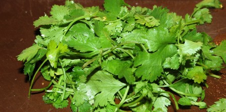 Нарезать кинзу.