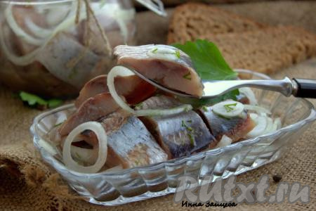 Очень вкусную сельдь пряного посола, приготовленную в домашних условиях по этому рецепту, переложить в тарелку и подавать с лучком и мелко рубленным укропом. Такая селёдочка отлично сочетается с горячей отварной картошкой, её можно подать и выложив на кусочек ржаного хлебушка.