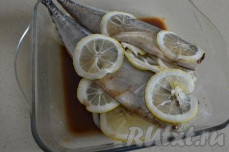 Достать скумбрию из холодильника и ещё раз смазать её внутри и снаружи соусом, который находится на дне формы. Вложить в брюшки скумбрии дольки лимона и кружочки лука. Несколько долек лимона выложить поверх рыбки. Я скумбрию дополнительно не солю, мне соли достаточно в соевом соусе (если предпочитаете достаточно солёные блюда, можете немножко присолить скумбрию внутри).