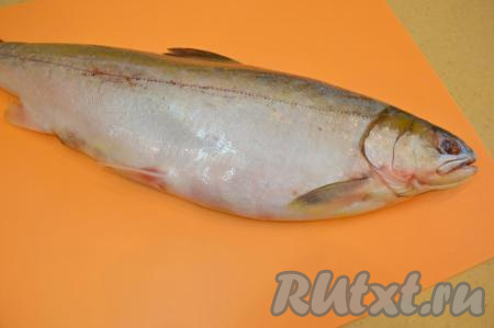 Если у вас замороженная рыба, то предварительно её необходимо разморозить. Лучше всего размораживать гольца на нижней полке холодильника. Такой способ разморозки самый долгий, но зато в рыбе остаётся максимальное количество жидкости и засоленная рыбка получится более вкусной. Затем тушку гольца выпотрошить, отрезать голову, хорошо промыть под проточной водой.