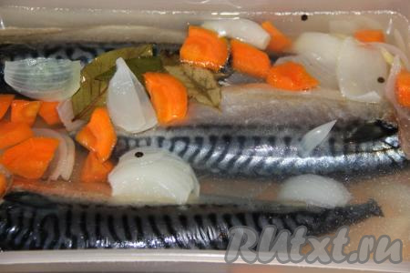 Выложить скумбрию в пластиковый лоток, залить маринадом и поставить на сутки в холодильник.