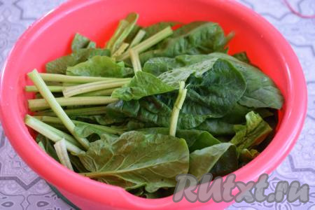 Шпинат тщательно перебираем и промываем под холодной водой.