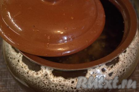 Накрыть горшочки крышкой и поставить в разогретую до 180 градусов духовку на 40 минут (до полного испарения жидкости).