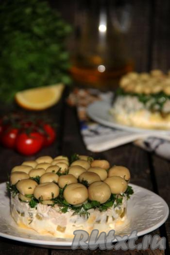 Вот такой красивый, аппетитный и очень вкусный салат "Грибная поляна" получился. Этот салатик несомненно станет украшением праздничного стола и точно понравится многим!