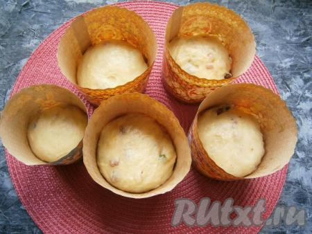 Разделить тесто на части. У меня было 4 бумажные формочки размером 90х85 мм и одна - размером 70х85 мм. Тесто подкатать в шарики и разложить его по формочкам, заполняя их на половину объёма. Смазывать формы жиром не нужно. Прикрыть формы полотенцем и оставить в тёплом месте на 30-40 минут.