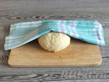 Замесите мягкое, податливое тесто. К рукам оно липнуть не должно! Накройте тесто полотенцем и оставьте при комнатной температуре на 15 минут.