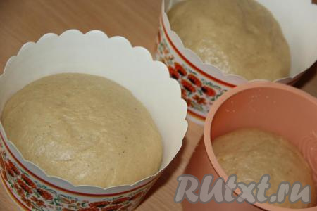 Вмешать сухофрукты в тесто и разложить по формам (у меня две бумажные формы для куличей и одна силиконовая), заполняя на половину объёма. У меня получилось 2 средних кулича и один маленький.