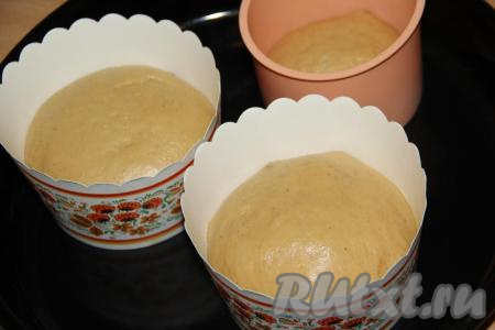 Оставить тесто в формах на 1 час в тёплом месте. Тесто за это время немного округлится.