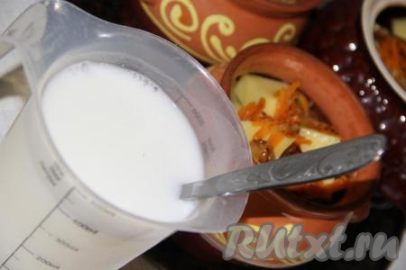 Соединить сметану, 300 мл воды и соль, можно добавить грибную приправу, перемешать.