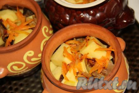 Таким образом, чередуя, разложить по горшочкам слоями обжаренные овощи, картошку и грибы.