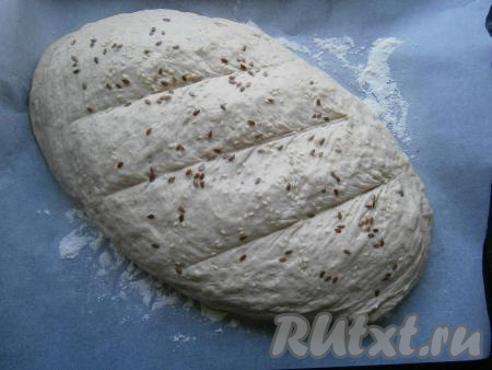 Хлеб прикрыть пленкой и оставить в тепле на 30-40 минут. Затем сделать несколько разрезов сверху.