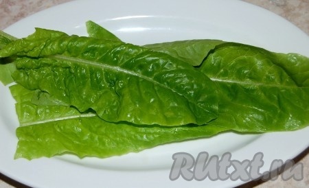 Листья зеленого листового салата вымыть и обсушить.