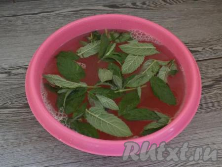 В горячий отвар выложите чистые листочки мяты и оставьте на столе остывать.