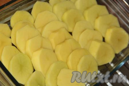 Картофель очистить и нарезать на кружочки. В форму для запекания (или на противень) выложить нарезанную картошку, слегка посолить.