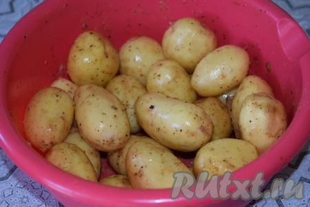Втереть масло и специи в каждый клубень картофеля, дать постоять, примерно, 15 минут. За это время картошка просолится и может пустить сок, который необходимо слить.