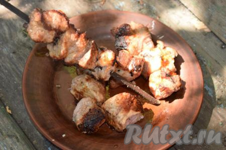 Готовность мяса проверяем так: надрезаем кусочек мяса до середины, если внутри мясо без следов крови, без алого оттенка, сок при разрезе выделяется прозрачный,&nbsp;то можно снимать шашлык с костра, он полностью готов.