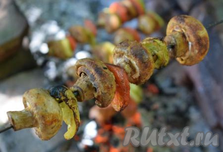 Когда овощи и шампиньоны подрумянятся, снимаем шампуры с костра и отправляем на тарелку для подачи.