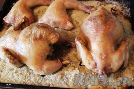 На фото небольшие куры по 800 г, готовились 50 минут.