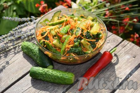 По прошествии времени наш ароматный, вкусный, пикантный, в меру острый салат из&nbsp;огурцов и моркови готов. Огурчики получаются хрустящими, морковка - сочной.