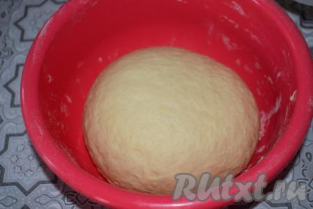 Тесто получается мягким, нежным, оно не&nbsp;липнет&nbsp;к рукам и хорошо держит форму. Накрываем миску с тестом плёнкой и оставляем на 1 час в тёплом месте для подхода.