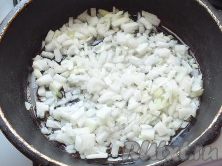 В сковороде разогрейте растительное масло, выложите лук и обжаривайте его до прозрачности на среднем огне, не забывая иногда перемешивать.