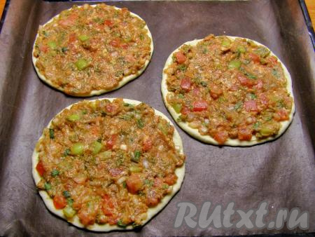 На каждую лепёшку выкладываем фарш и разравниваем ложкой. Ставим в прогретую до 180 градусов духовку, примерно, на 15 минут. Сразу выпечь все лепёшки вряд ли получится, поэтому выпекаем их в 2-3 захода (в зависимости от размера духовки).