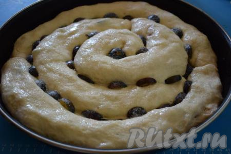 Украшаем пирог дольками слив и посыпаем сахаром. Даём пирогу расстояться минут 20.